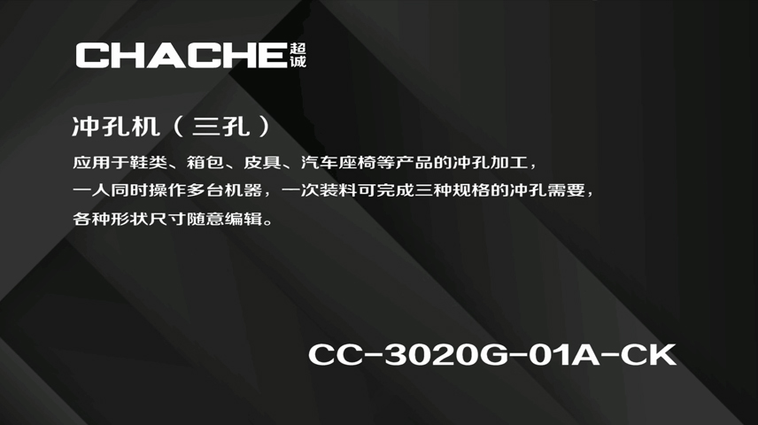 CC-3020G-01A-CK 冲孔机（三冲头）