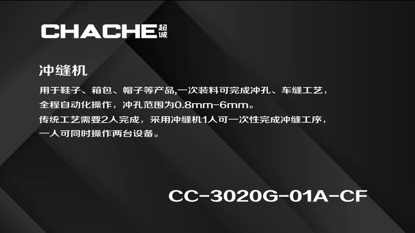 CC-3020G-01A-CF 冲缝机